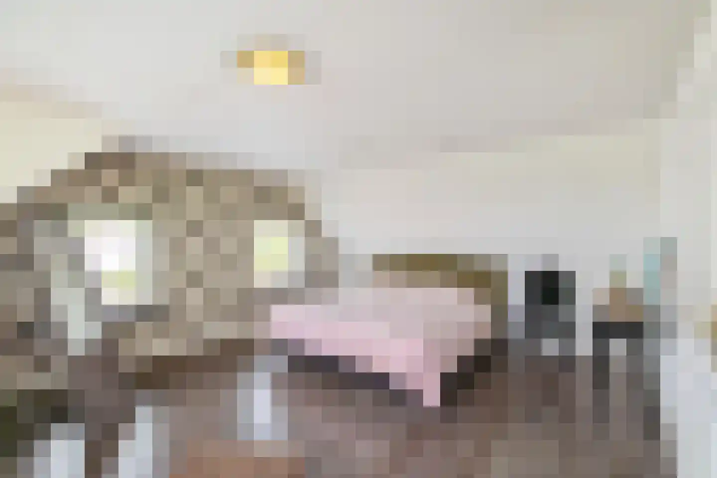 Eursing 40 Beilen thumbnail 14
