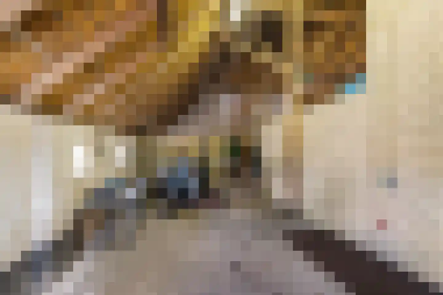 Eursing 40 Beilen thumbnail 24