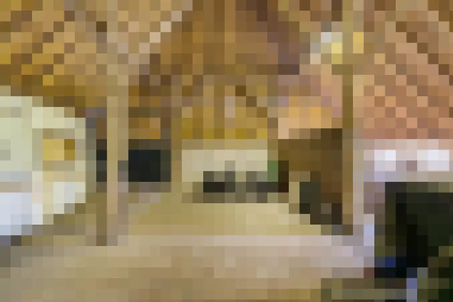 Eursing 40 Beilen thumbnail 27