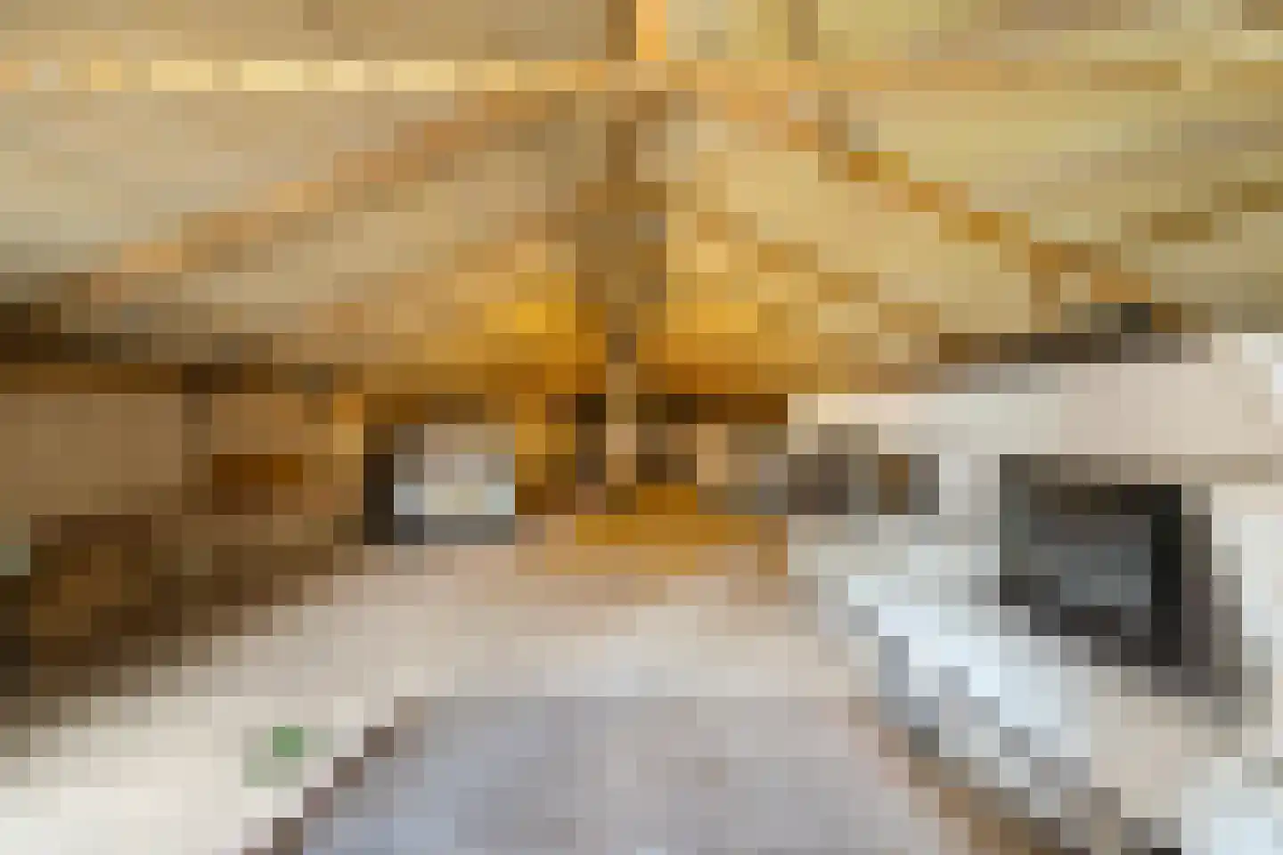 Eursing 40 Beilen thumbnail 31