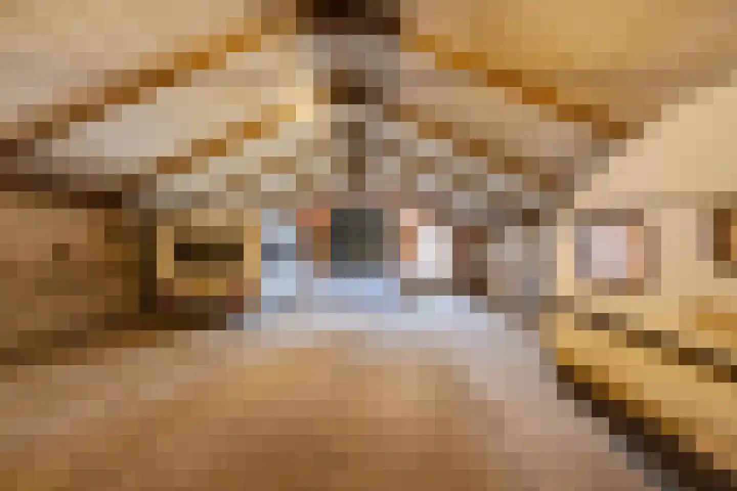 Eursing 40 Beilen thumbnail 32