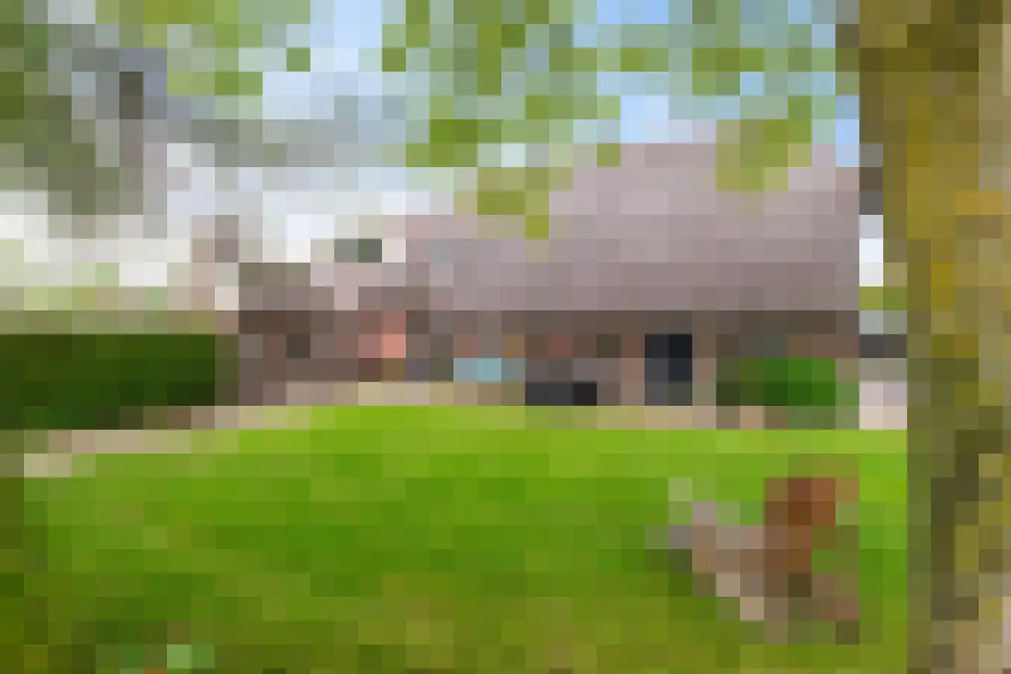 Eursing 40 Beilen thumbnail 5