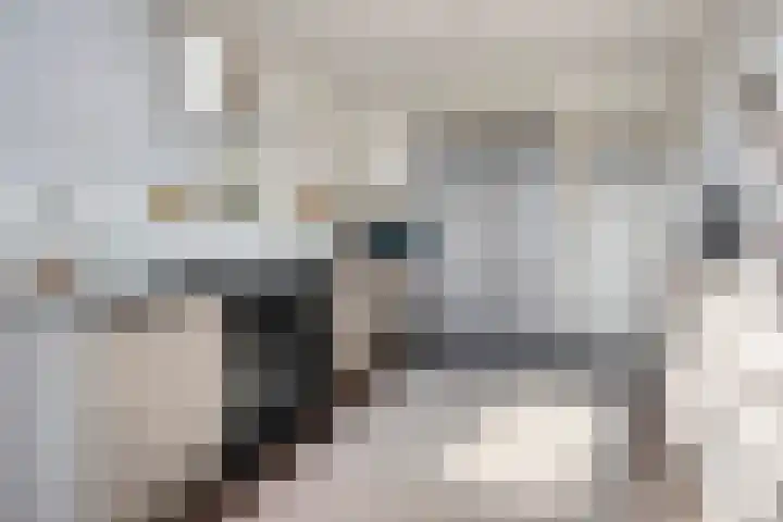 Eursing 8 Beilen thumbnail 11