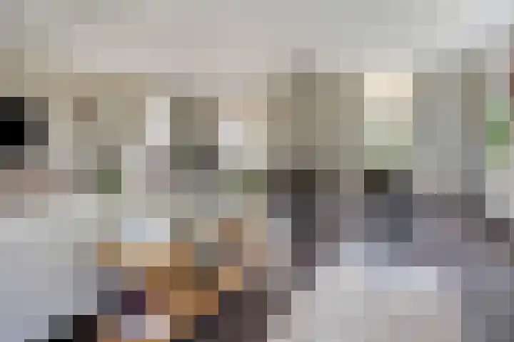 Eursing 8 Beilen thumbnail 12
