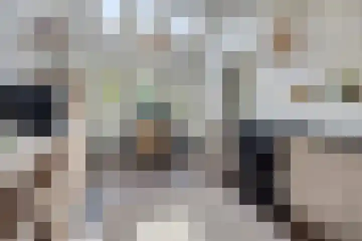 Eursing 8 Beilen thumbnail 15