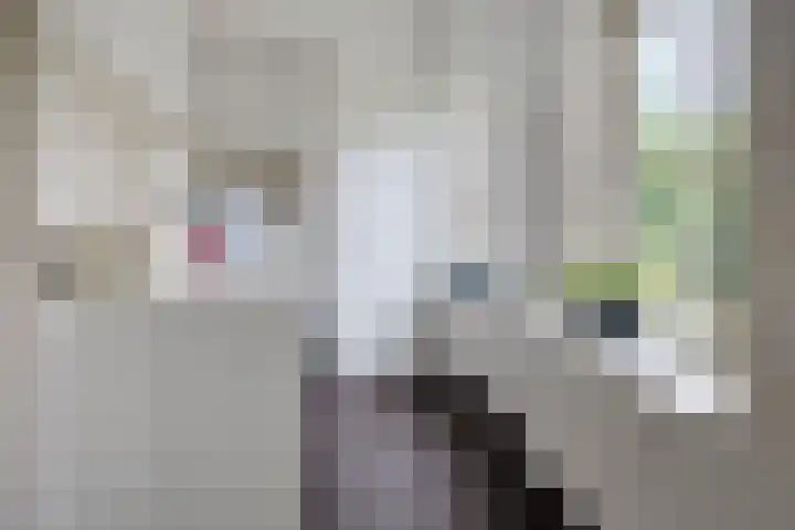 Eursing 8 Beilen thumbnail 16