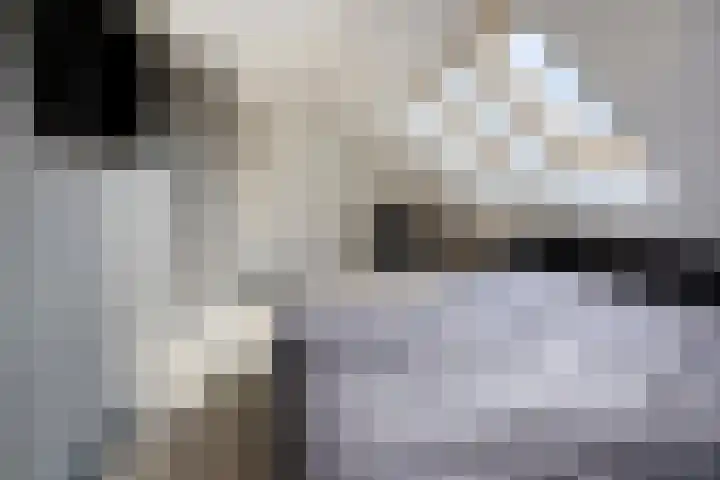 Eursing 8 Beilen thumbnail 25