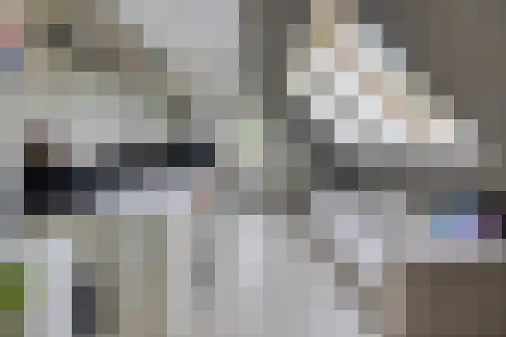 Eursing 8 Beilen thumbnail 27