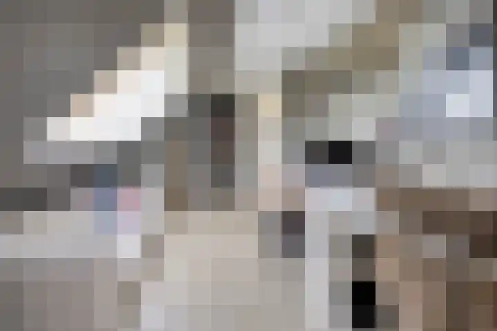 Eursing 8 Beilen thumbnail 28
