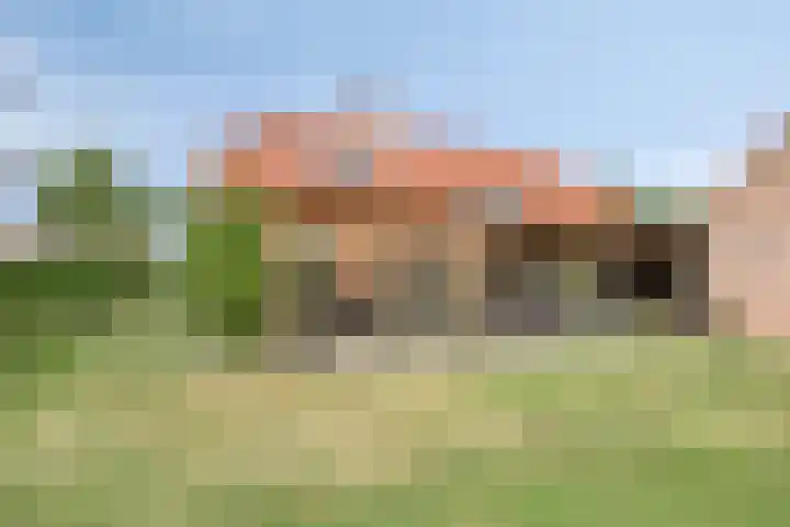 Eursing 8 Beilen foto 3