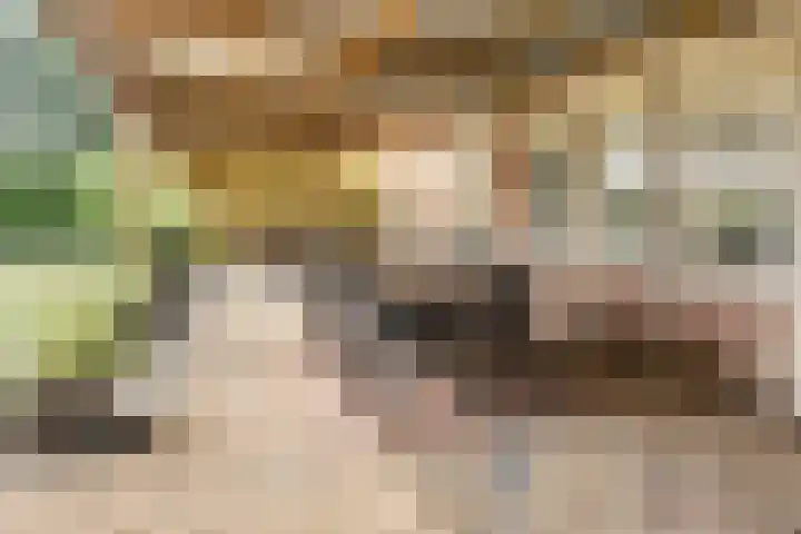 Eursing 8 Beilen thumbnail 41