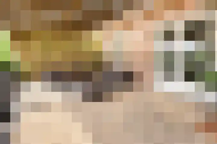 Eursing 8 Beilen thumbnail 42