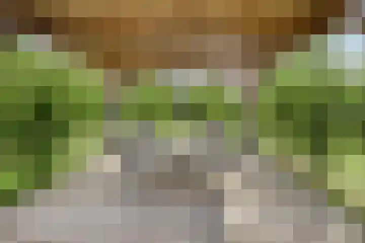 Eursing 8 Beilen thumbnail 44