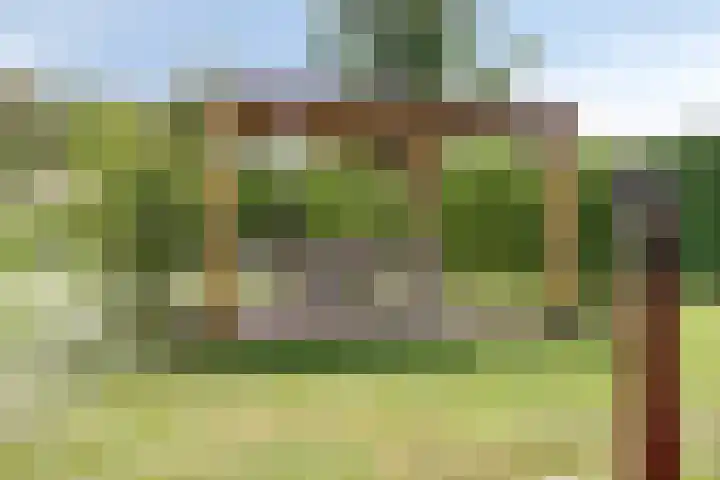 Eursing 8 Beilen thumbnail 45