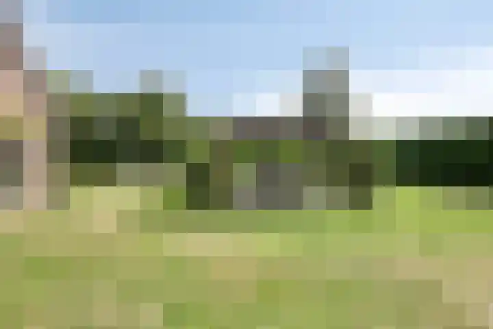 Eursing 8 Beilen thumbnail 46