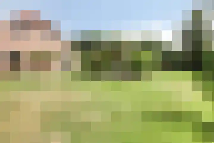 Eursing 8 Beilen thumbnail 47