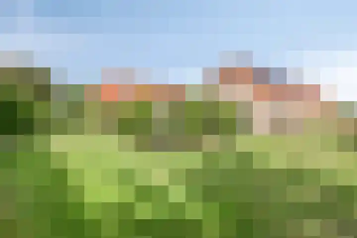 Eursing 8 Beilen thumbnail 48