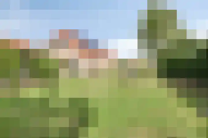 Eursing 8 Beilen thumbnail 49