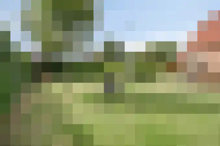 Eursing 8 Beilen thumbnail 50
