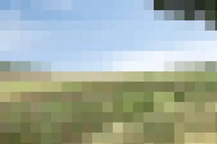 Eursing 8 Beilen thumbnail 53