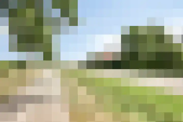 Eursing 8 Beilen thumbnail 57