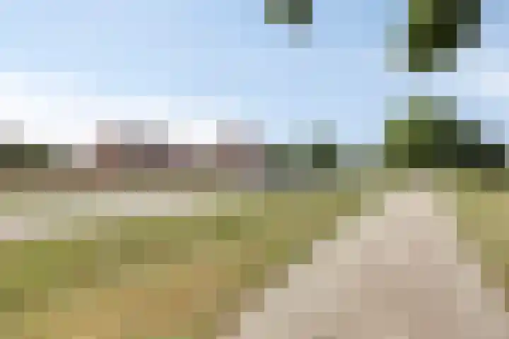 Eursing 8 Beilen thumbnail 58