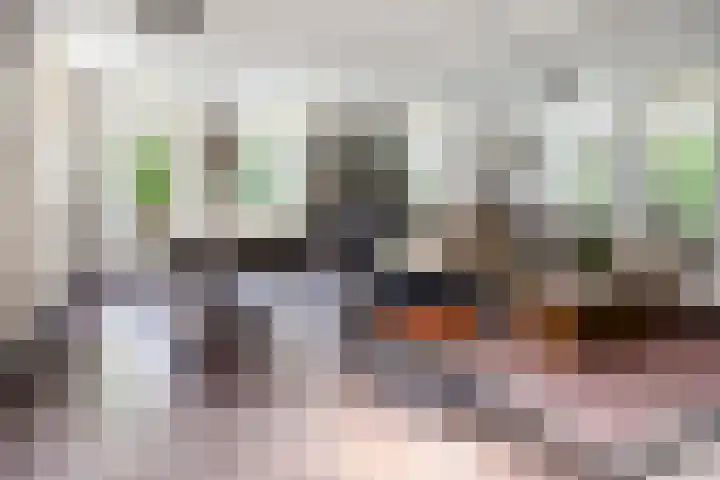Eursing 8 Beilen thumbnail 6