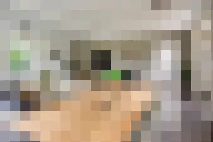 Eursing 8 Beilen thumbnail 9