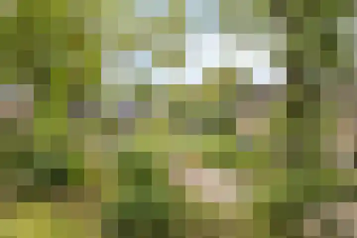 Eursingerweg 54 Beilen thumbnail 24