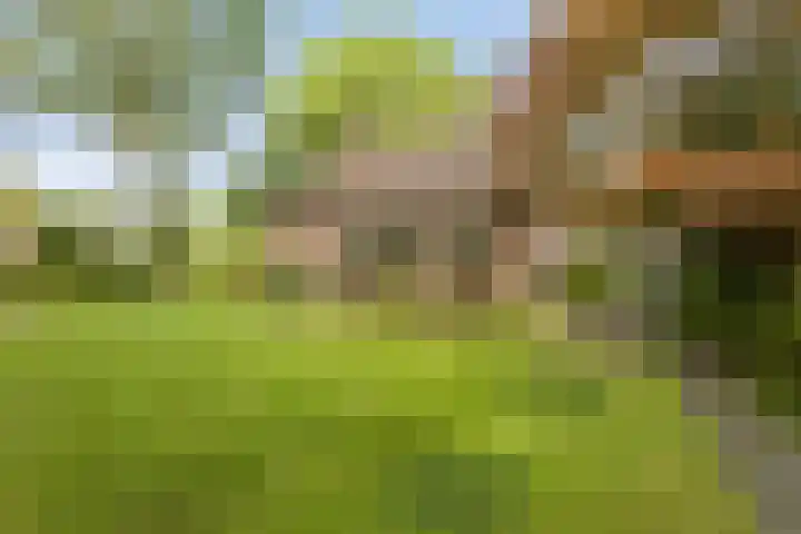 Eursingerweg 54 Beilen thumbnail 35