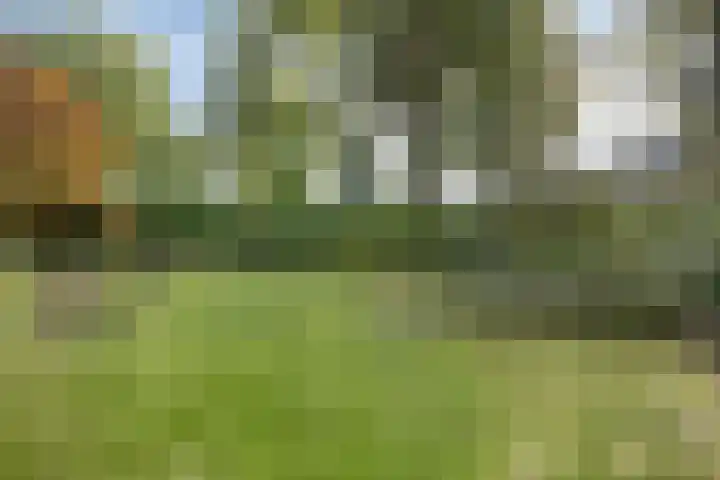 Eursingerweg 54 Beilen thumbnail 36