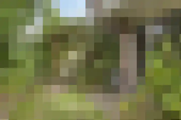 Eursingerweg 54 Beilen thumbnail 37