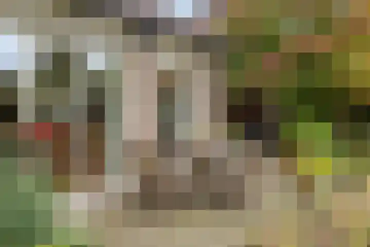 Eursingerweg 54 Beilen thumbnail 38