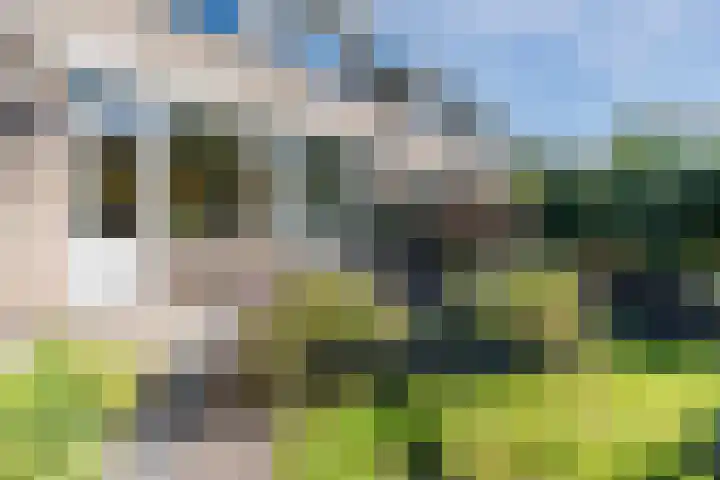 Eursingerweg 60 Beilen thumbnail 32