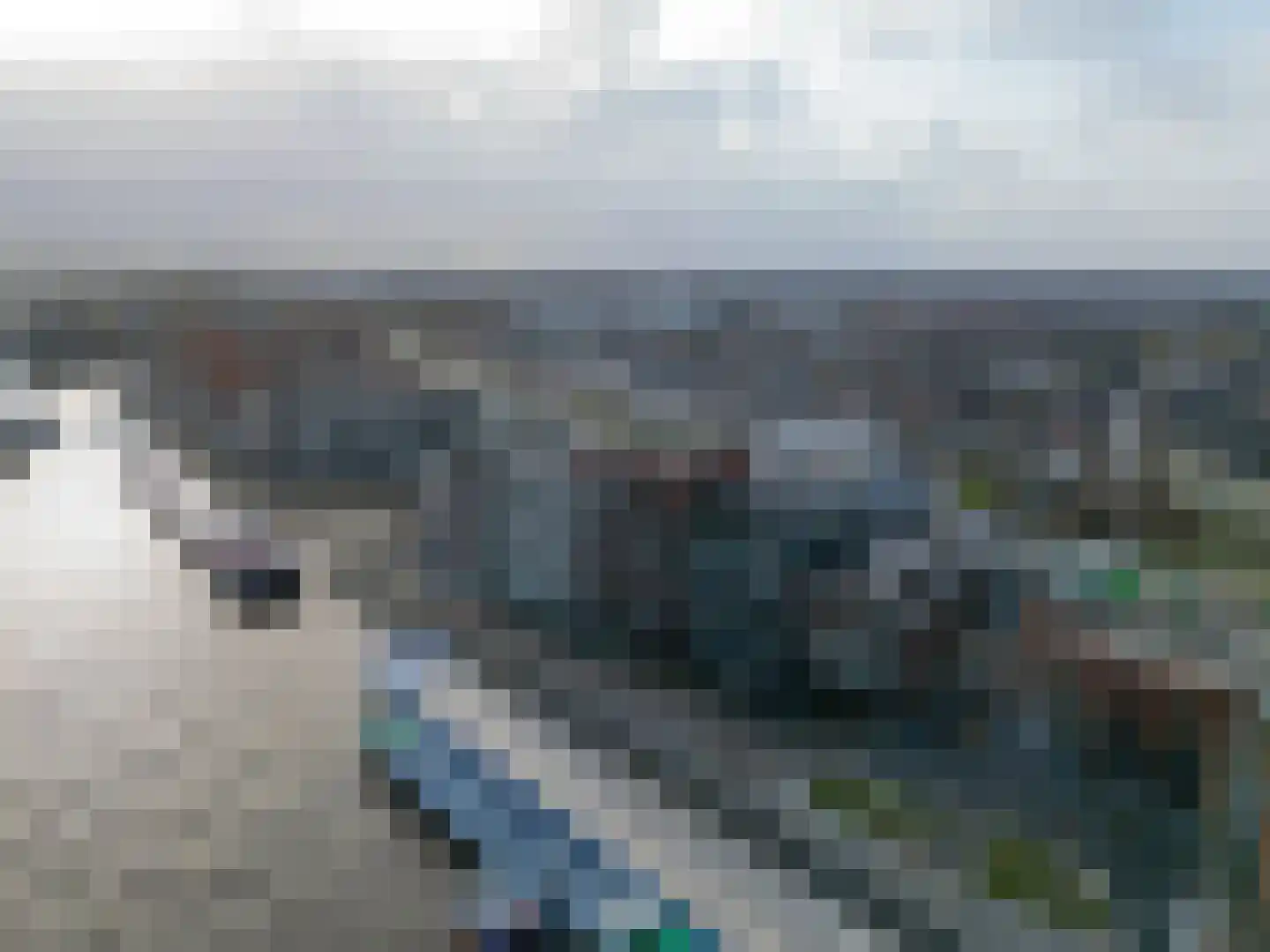 Euryzakade 104 Zwijndrecht thumbnail 46