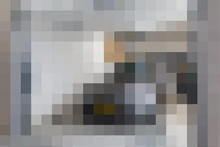 Euryzakade 110 Zwijndrecht thumbnail 33