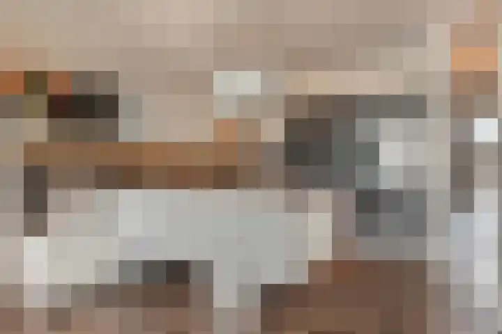 Euryzakade 204 Zwijndrecht thumbnail 15