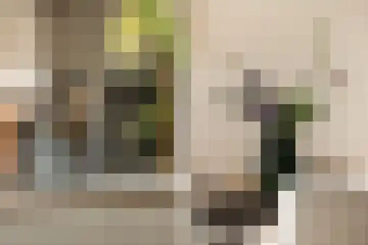 Euryzakade 521 Zwijndrecht thumbnail 33