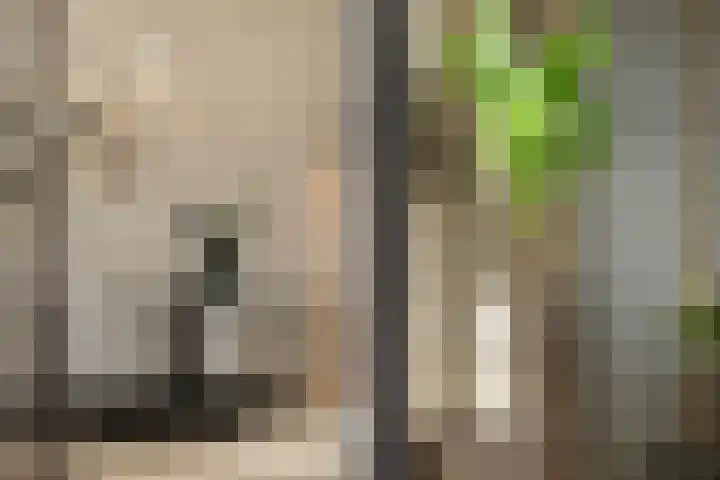 Euryzakade 521 Zwijndrecht thumbnail 37