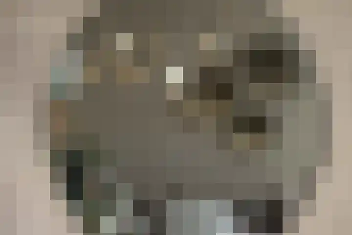 Euryzakade 521 Zwijndrecht thumbnail 38