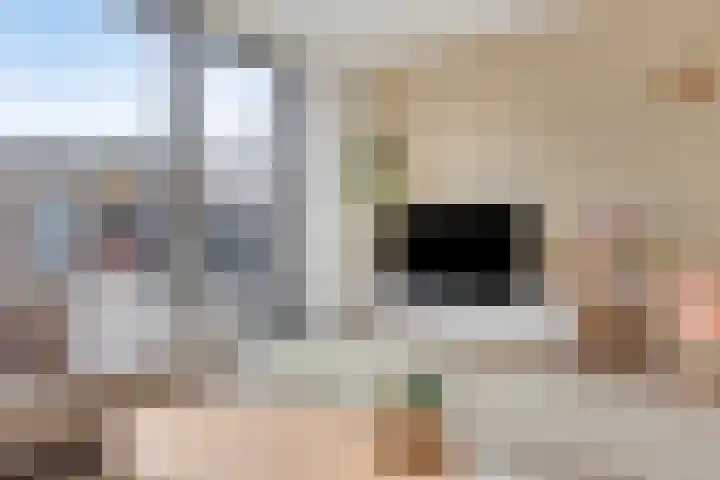 Euryzaplein 6 Zwijndrecht thumbnail 10