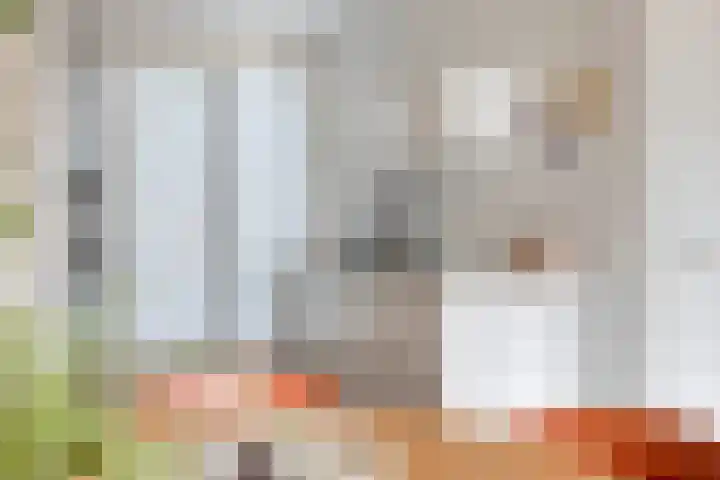 Euryzaplein 6 Zwijndrecht thumbnail 15