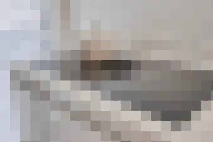 Euryzaplein 6 Zwijndrecht thumbnail 17