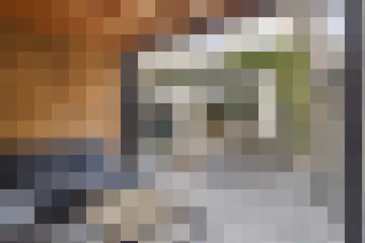 Euryzaplein 6 Zwijndrecht thumbnail 20