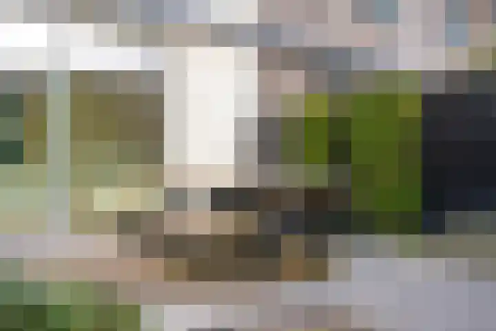 Euryzaplein 6 Zwijndrecht thumbnail 21