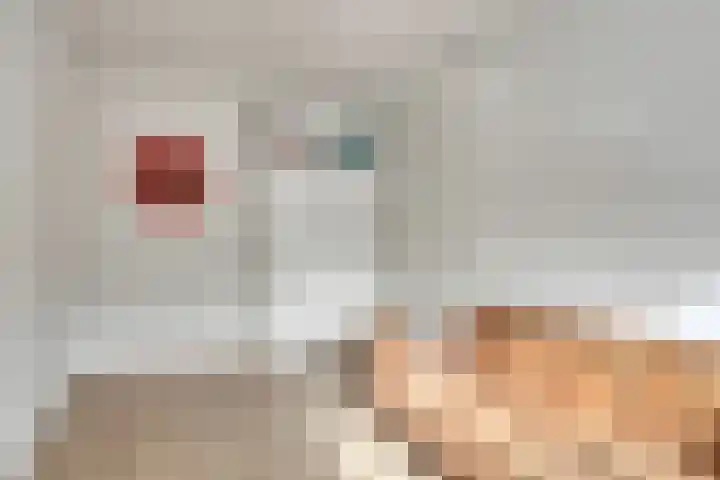 Euryzaplein 6 Zwijndrecht thumbnail 27