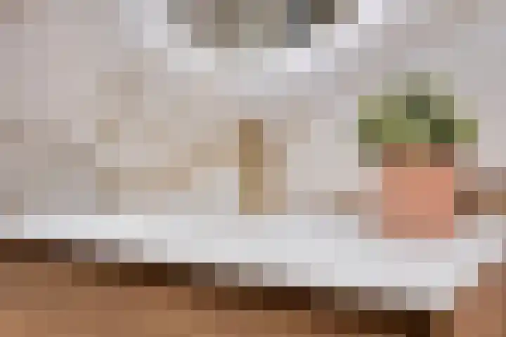 Euryzaplein 6 Zwijndrecht thumbnail 4
