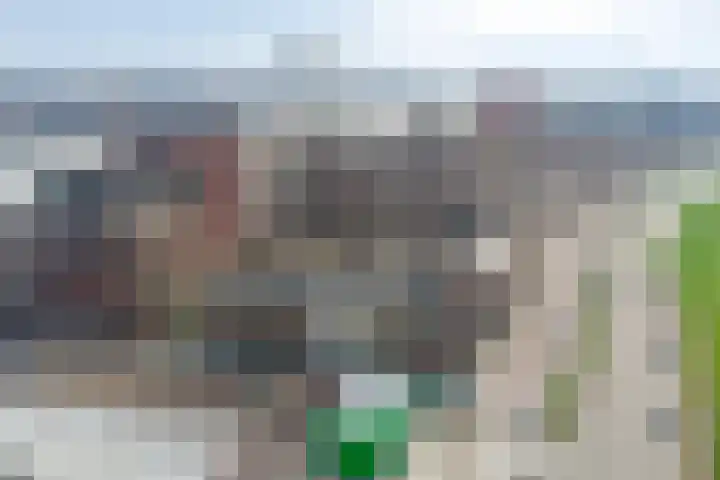 Euryzaplein 6 Zwijndrecht thumbnail 45