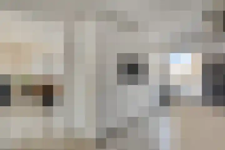 Eusebiusbinnensingel 21 Arnhem thumbnail 11