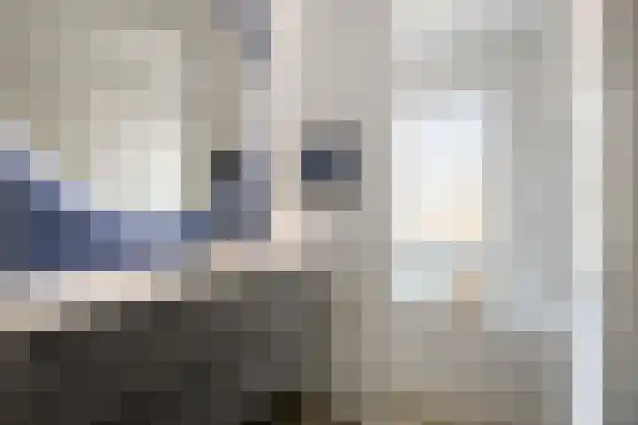 Eusebiusbinnensingel 21 Arnhem thumbnail 18